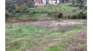 Land for sale in Figueiró dos Vinhos, Portugal — €10,000