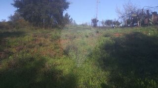 Land for sale in Tomar, Portugal — €20,000