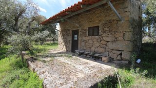 Terreno de 3640 m² em Castelo Branco