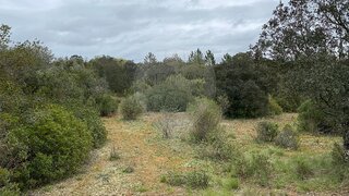 Terreno de 18 280 m² em Santarém