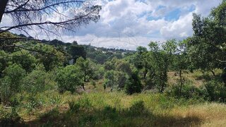 Land for sale in Ponte de Sor, Portugal — €75,000