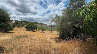 Land for sale in Torres Novas, Portugal — €27,000