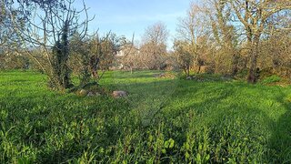 Land for sale in Penela, Portugal — €35,000
