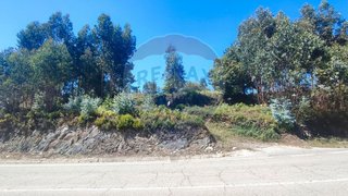 Land for sale in Penacova, Portugal — €30,000
