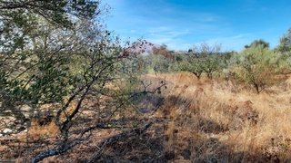 Land for sale in Idanha-a-Nova, Portugal — €20,000