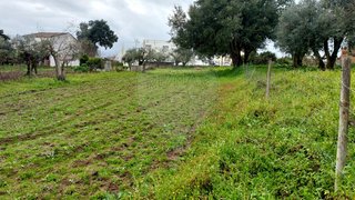 Land for sale in Nisa, Portugal — €13,000