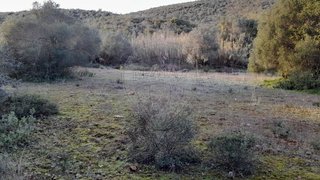 Land for sale in Loulé, Portugal — €20,000
