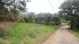 Land for sale in Alvaiázere, Portugal — €25,000