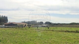 Land for sale in Montemor-o-Velho, Portugal — €60,000