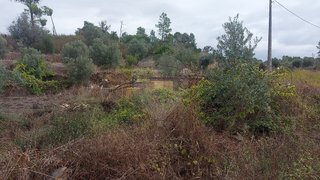 Land for sale in Abrantes, Portugal — €2,845