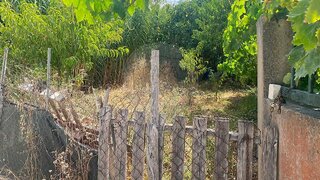 Land for sale in Loures, Portugal — €60,000