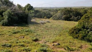 Land for sale in Vila do Bispo, Portugal — €15,000