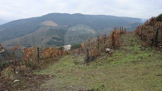Land for sale in Armamar, Portugal — €80,000