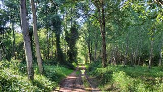 Terreno · 2200 m² · 30 000 €