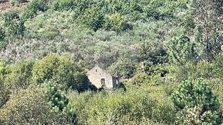 Terreno para venda em Oliveira do Hospital, Portugal — 85 000 €