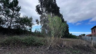 Land for sale in Pombal, Portugal — €20,000