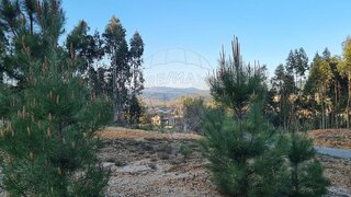 Land for sale in Mortágua, Portugal — €37,000