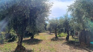 Land for sale in Fundão, Portugal — €28,000