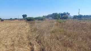 Terreno em Grândola