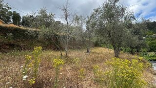Land for sale in Cinfães, Portugal — €25,000