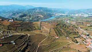 Land for sale in Lamego, Portugal — €149,000