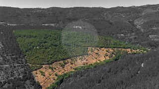 Terreno em Portalegre · 170 000 m² · 170 000 €