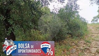 Land for sale in Torres Novas, Portugal — €11,400
