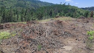 Land for sale in Viseu, Portugal — €21,000