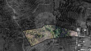 Land · 6,000 m² · €15,000