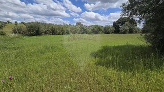 Land for sale in Torres Novas, Portugal — €25,000