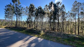 Land for sale in São Pedro do Sul, Portugal — €14,500