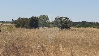 Land for sale in Alpiarça, Portugal — €26,000