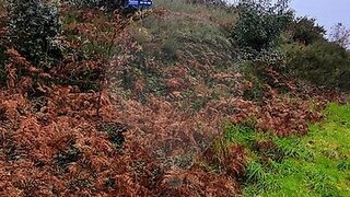 Land for sale in Póvoa de Lanhoso, Portugal — €25,000