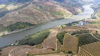 Land for sale in Armamar, Portugal — €550,000