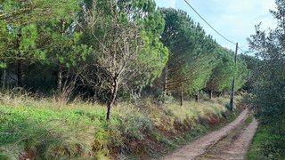 Land for sale in Porto de Mós, Portugal — €60,000