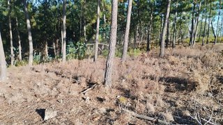 Land for sale in Sertã, Portugal — €10,000
