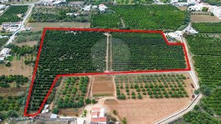 Land for sale in Olhão, Portugal — €750,000