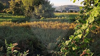 Land for sale in Paços de Ferreira, Portugal — €25,000