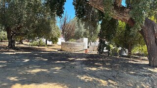 Terreno para venda em Coruche, Portugal — 39 000 €
