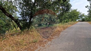 Land for sale in Pombal, Portugal — €26,000