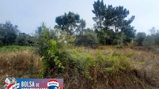Terreno em Tomar · 3520 m² · 4000 €