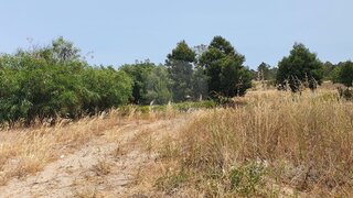 Land for sale in Alcácer do Sal, Portugal — €1,200,000