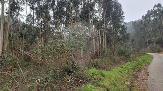 Terreno em Alvaiázere