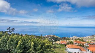 Land for sale in Ribeira Brava, Portugal — €210,000