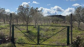 Land for sale in Mirandela, Portugal — €54,000