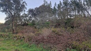 Land for sale in Vila de Rei, Portugal — €12,000