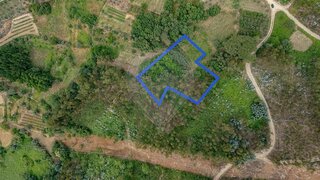 Land for sale in Penacova, Portugal — €8,500