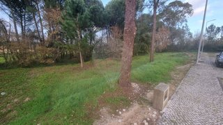 Terreno em Condeixa-a-Nova