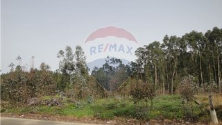 Land for sale in Anadia, Portugal — €23,750