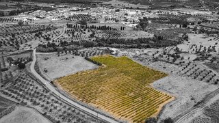 Terreno em Vidigueira
